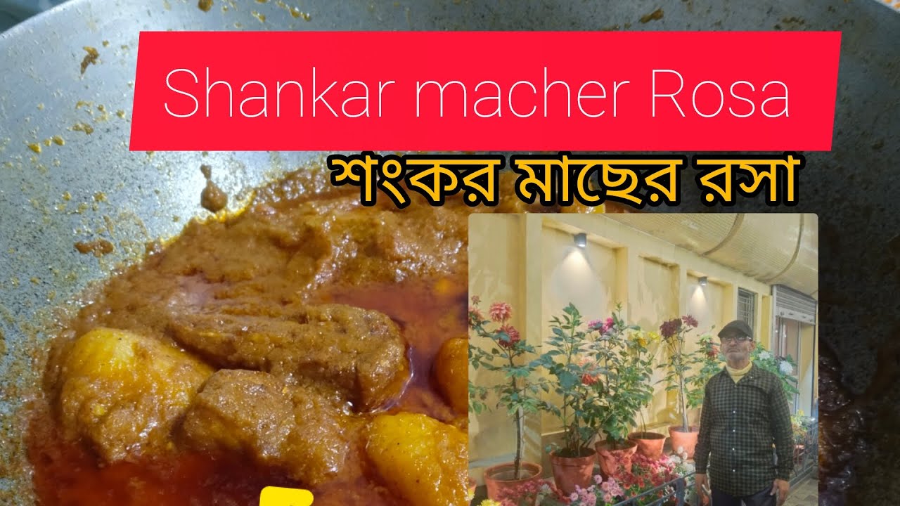 শংকর মাছের রসা,Shankar macher Rosa recipe,
