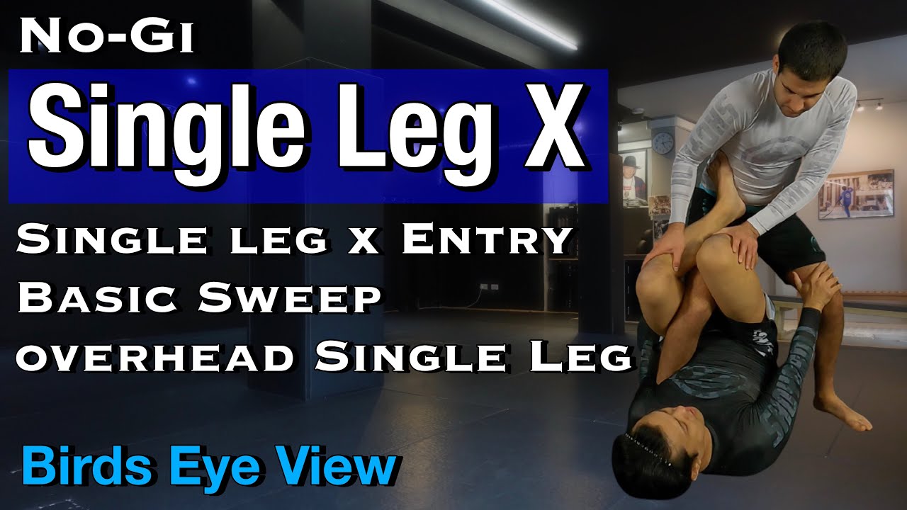 Single Leg X Guard | Entry,  Basic Sweep | No-Gi