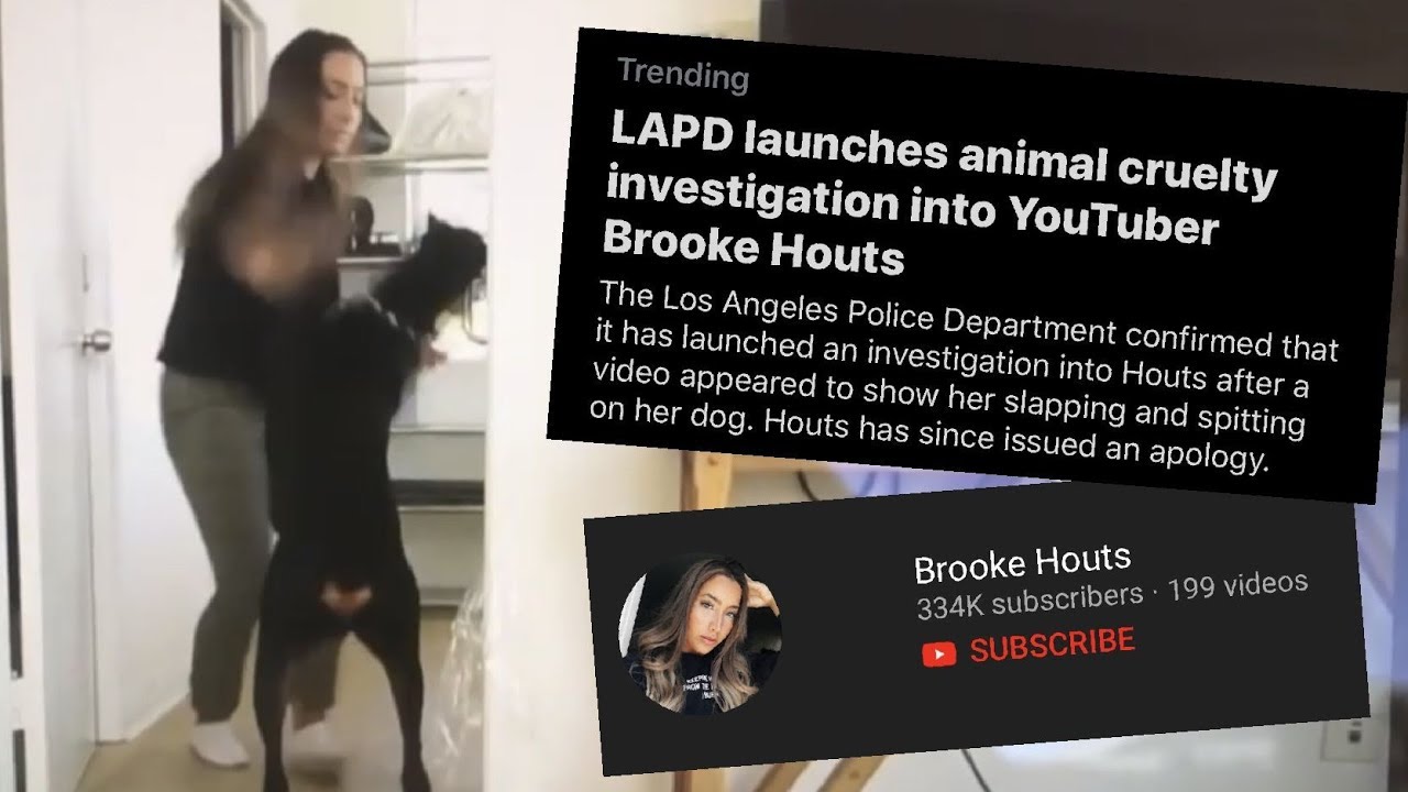 irrelevant youtuber HITS her dog for VIEWS (Brooke Houts)