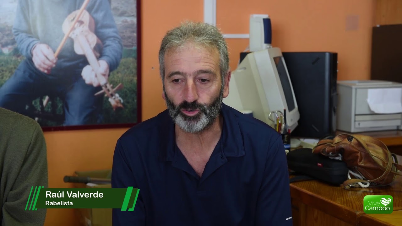 Embajadores del rabel
