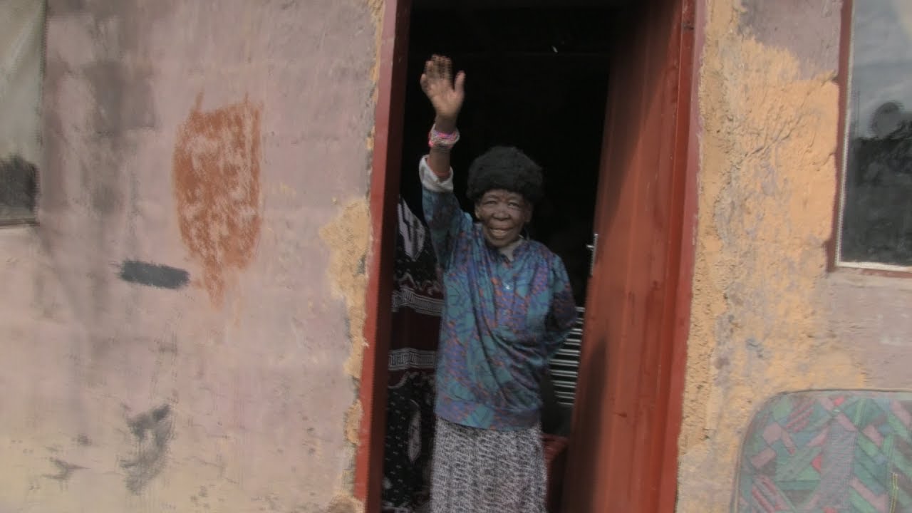 Daily SunTV | SunPower Shines On Chicken Gogo!