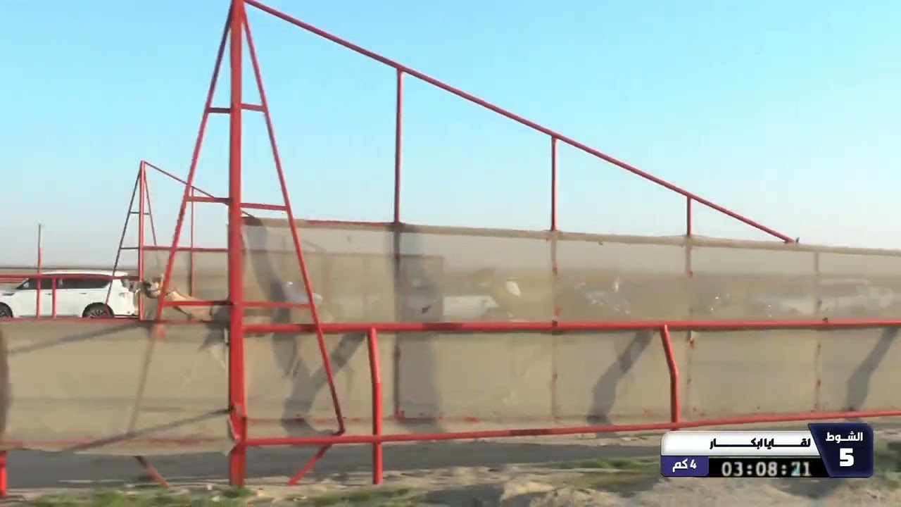 5 الشوط الخامس لقايا ابكار السبت 21 02 2026