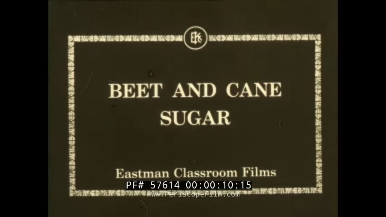 “ BEET AND CANE SUGAR ” PROCESSING & REFINING SUGAR  1930s EASTMAN CLASSROOM EDUCATIONAL FILM 57614
