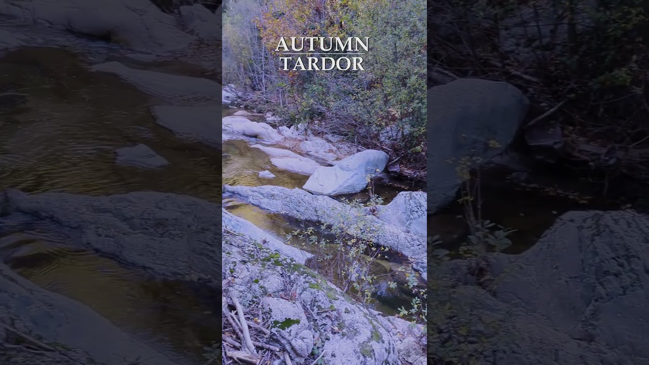 Tardor. Autumn. Otoño. 