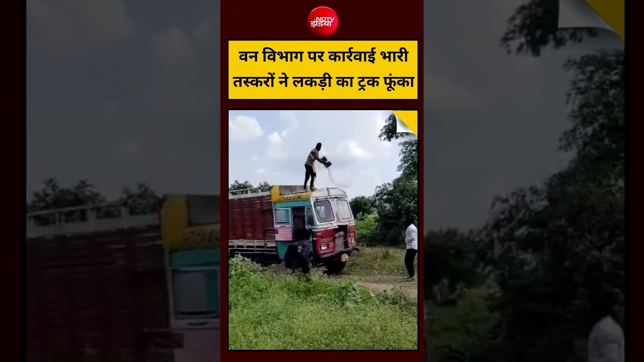वन विभाग पर कार्रवाई भारी, तस्करों ने लकड़ी का ट्रक फूंका | #ForestDepartment #WoodSmuggling