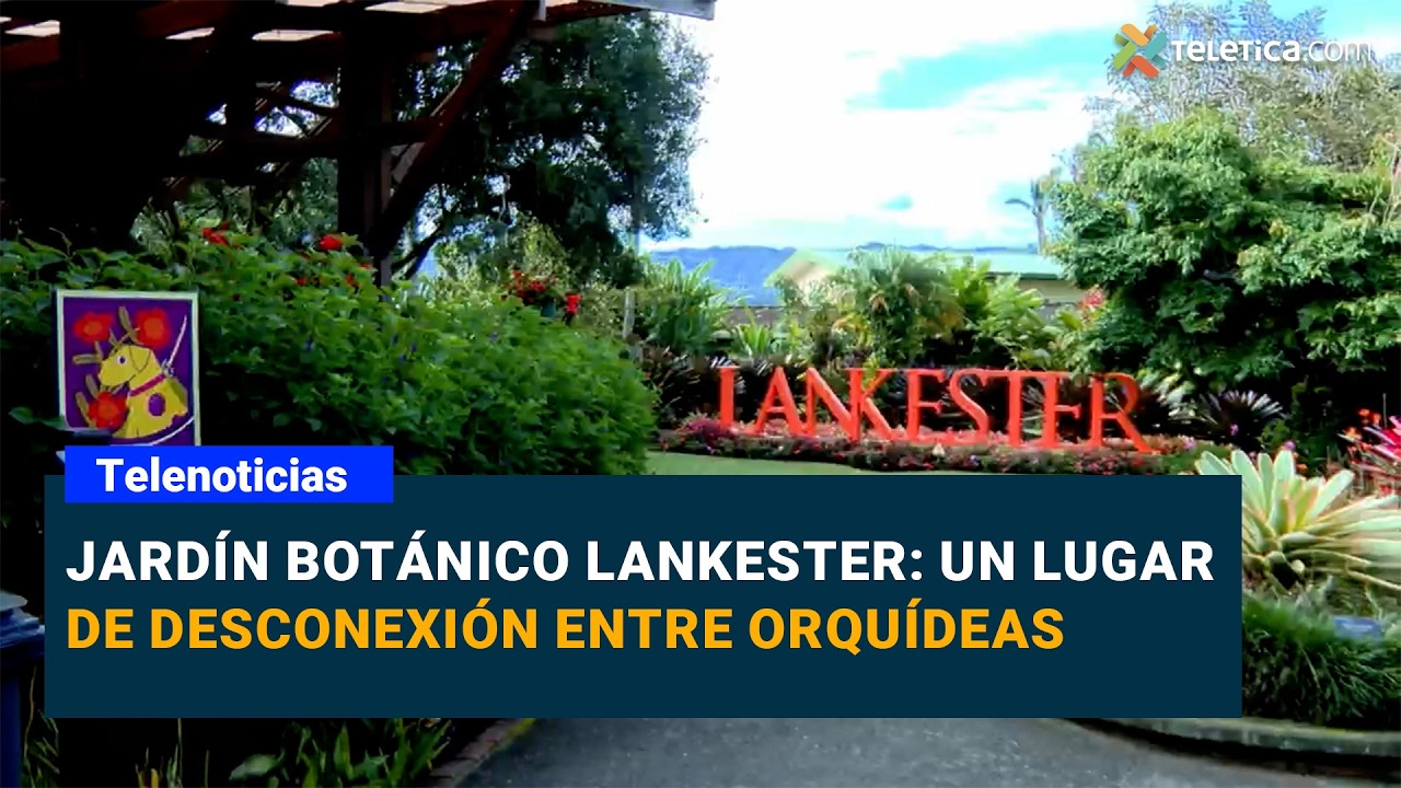 Jardín Botánico Lankester: un lugar de desconexión entre orquídeas