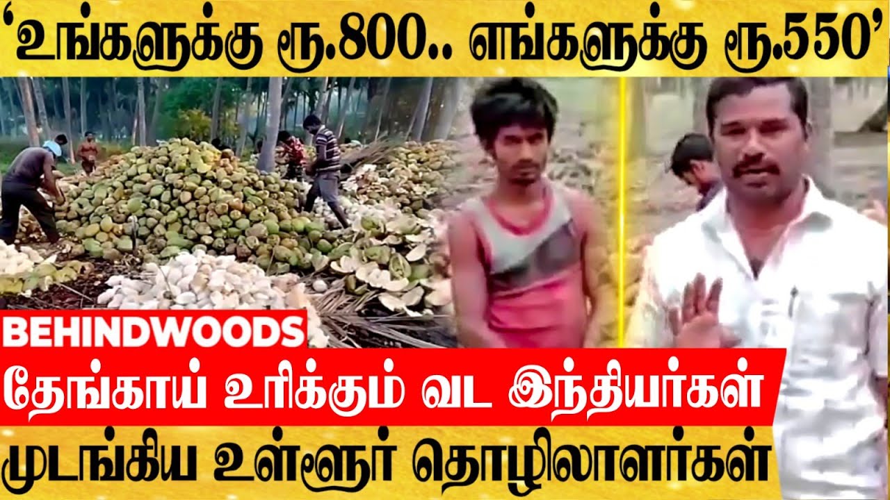 'உங்களுக்கு ரூ.800.. எங்களுக்கு ரூ.550'.. தேங்காய் உரிக்கும் வட இந்தியர்கள்? தவிக்கும் தொழிலாளிகள்