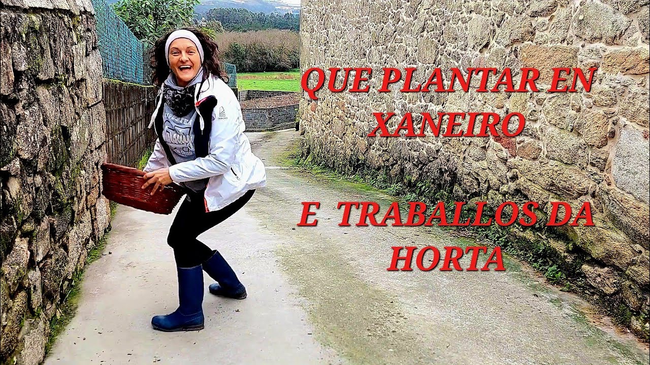 QUE PLANTAR EN ENERO E TRABALLOS DA HORTA 🌿 || {NUSKA}