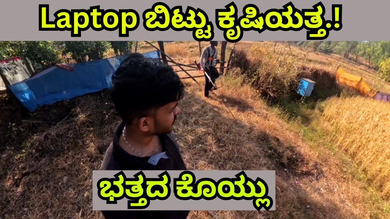 || Laptop ಬಿಟ್ಟು ಕೃಷಿಯತ್ತ: ಭತ್ತದ ಕೊಯ್ಲು || || Paddy harvesting vlog || || Mr. D Karnataka ||