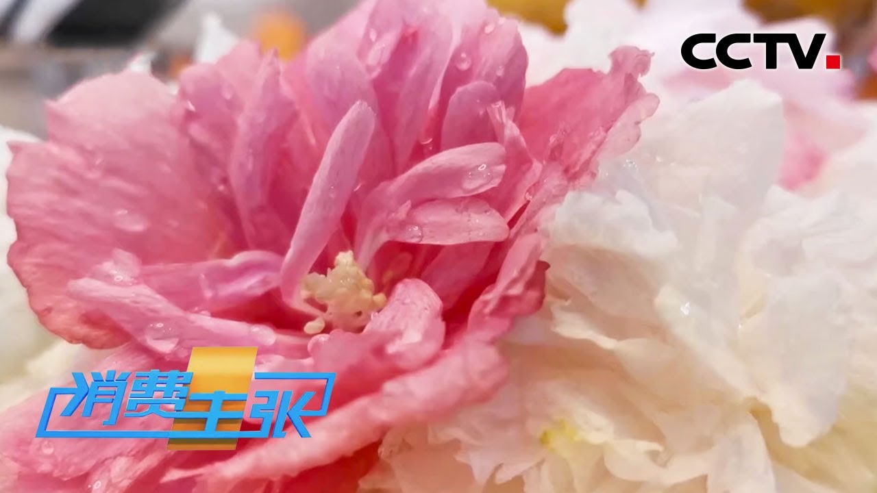 2020中国夜市全攻略之湖南常德：探访陶渊明笔下世外桃源 享仙气飘飘的美味 「消费主张」 20200907 | CCTV财经