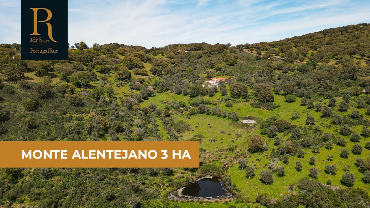 !!VENDIDO/SOLD!! Monte Alentejano para venda em Évora | Ref. FG976