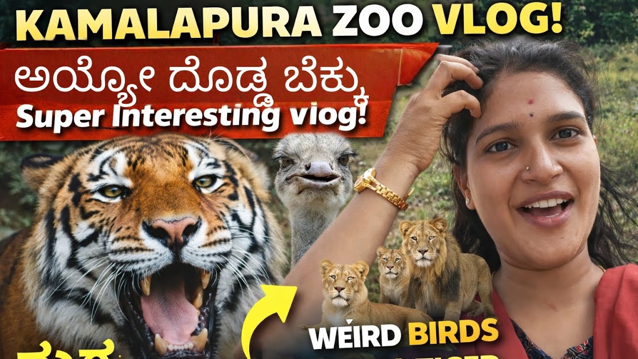 “Kamalapura Zoo Vlog 🐅🦒 | Tiger, Simha & Vichitra Pakshigalu 😍”
