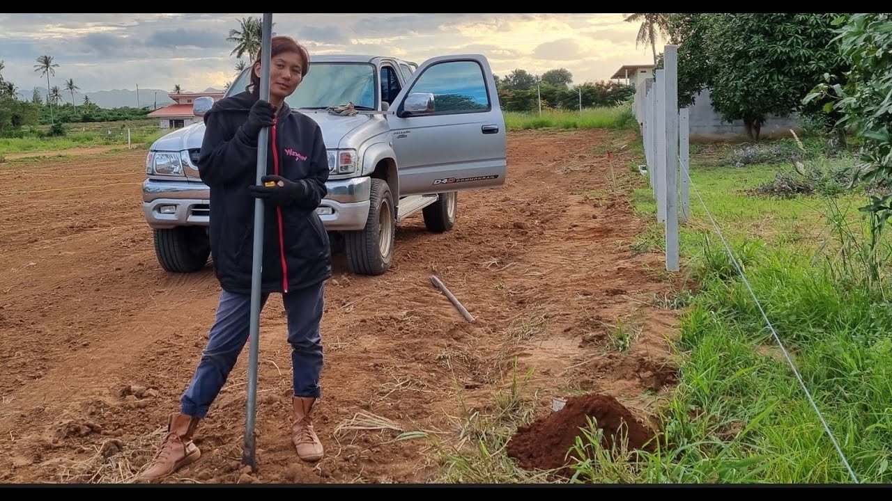Boundary fencing, the rules and how to do (READ DESCRIPTION)
