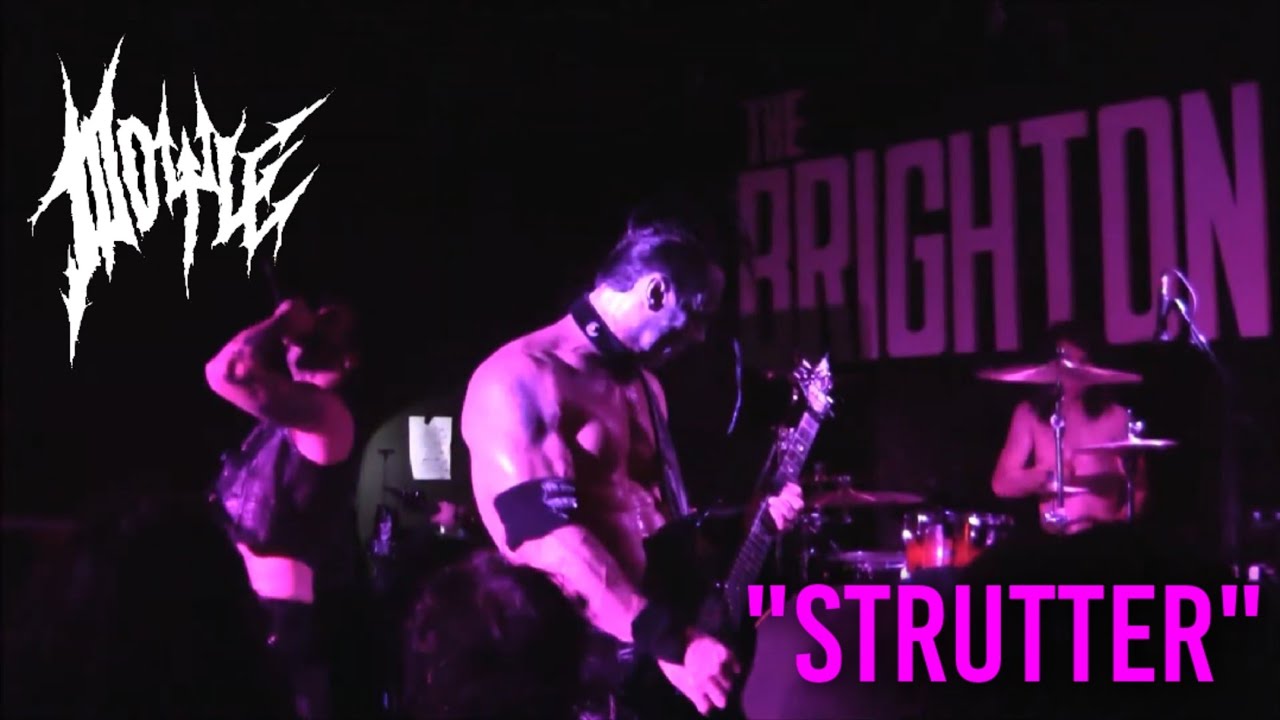 Doyle - Strutter - Live At The Brighton Bar - April 19th 2017 -