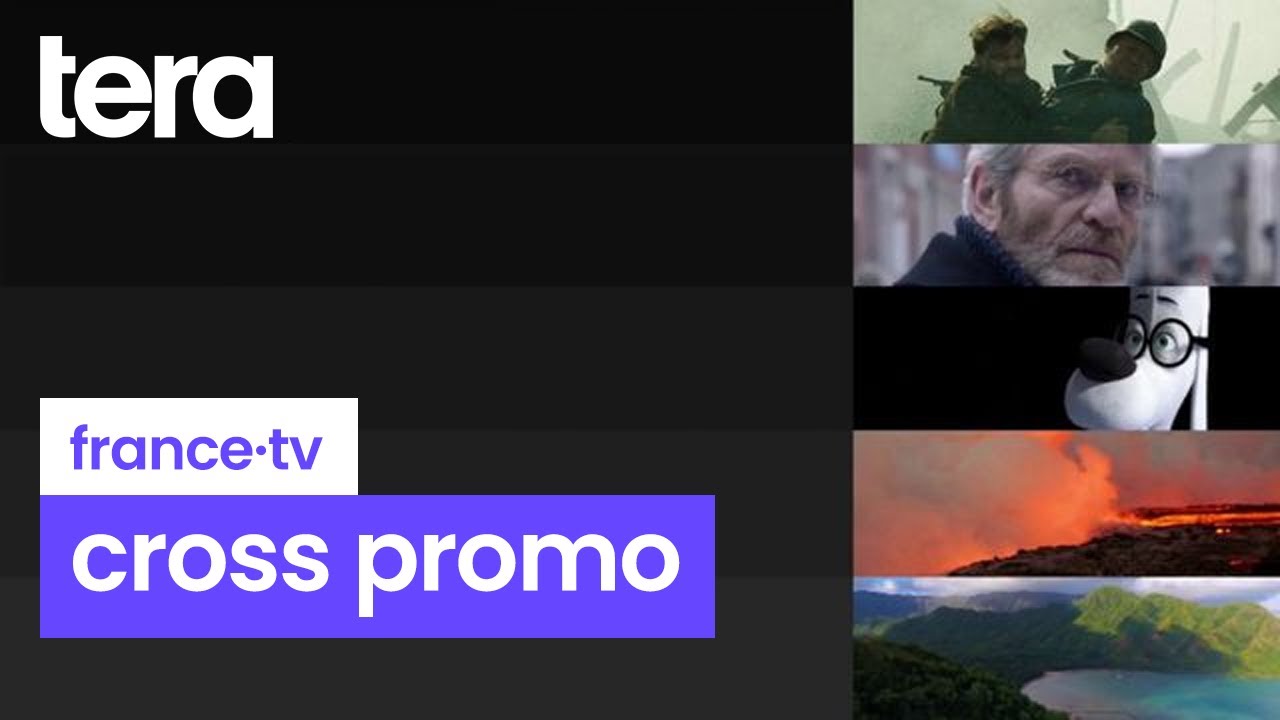 France Télévisions - Cross promotion history (2005 - now) 