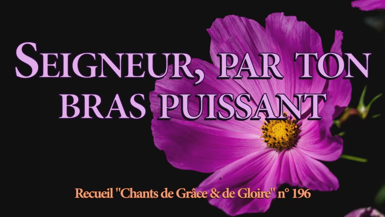 Seigneur par ton bras puissant