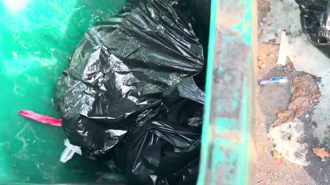 Max: Someone has been digging into our garbage cans | Planet paparazzi 
