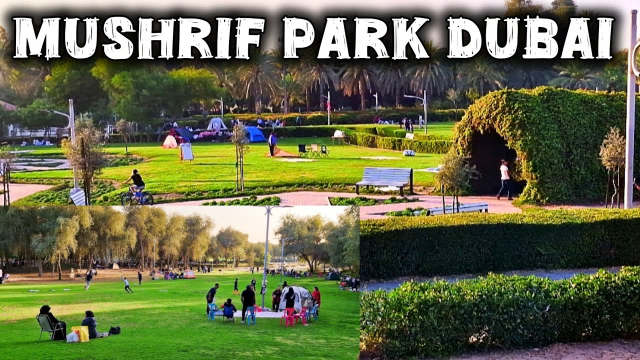 Mushrif Park Dubai Full Tour | Hidden Nature Paradise in UAE 🌿