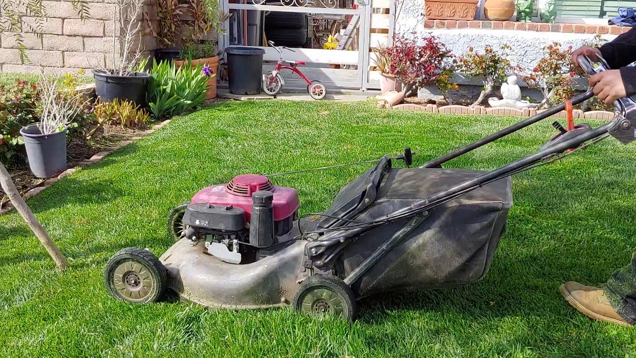 Cutting with HONDA HRC 216 COMMERCIAL mower