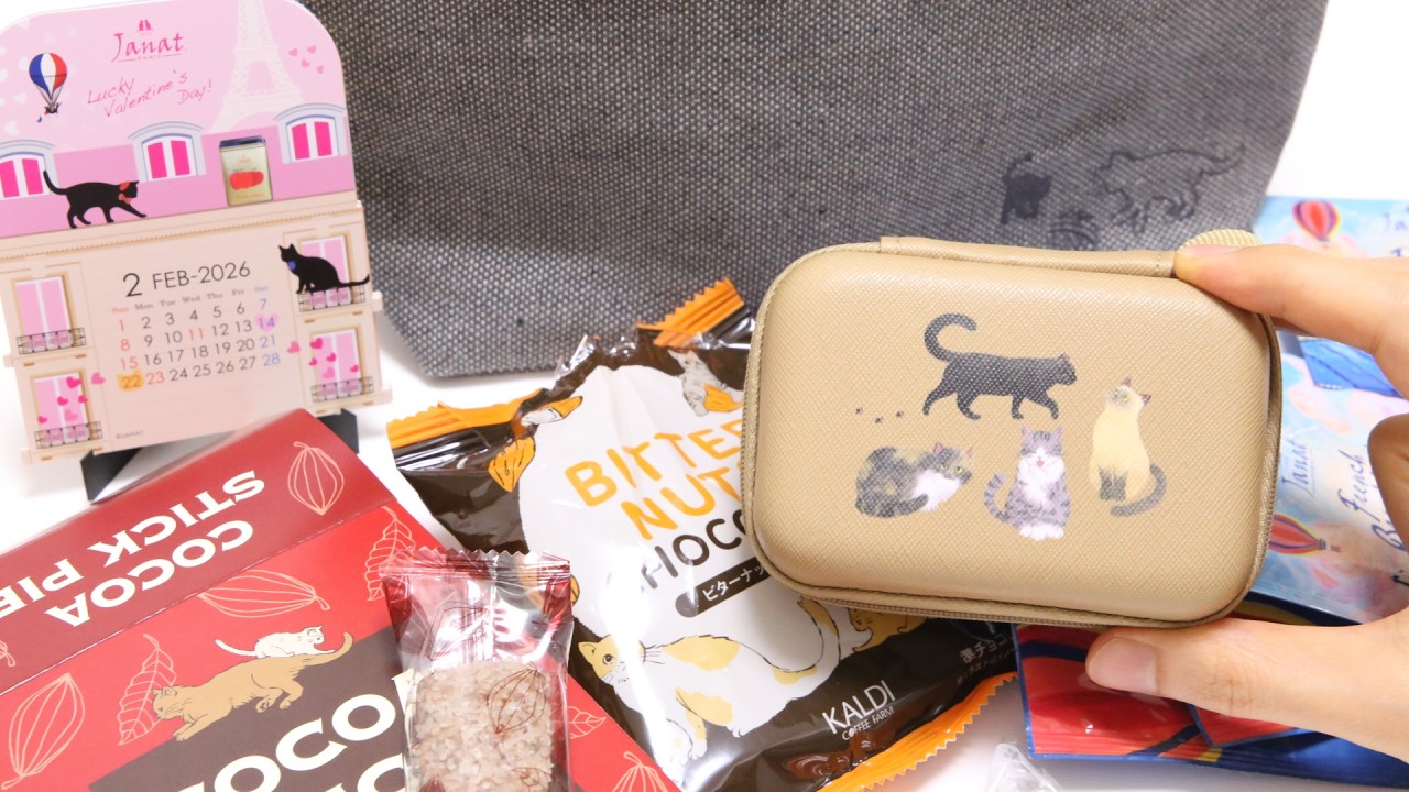 😻Cat Day Tea and Treats Kaldi Lucky Bag Unboxing