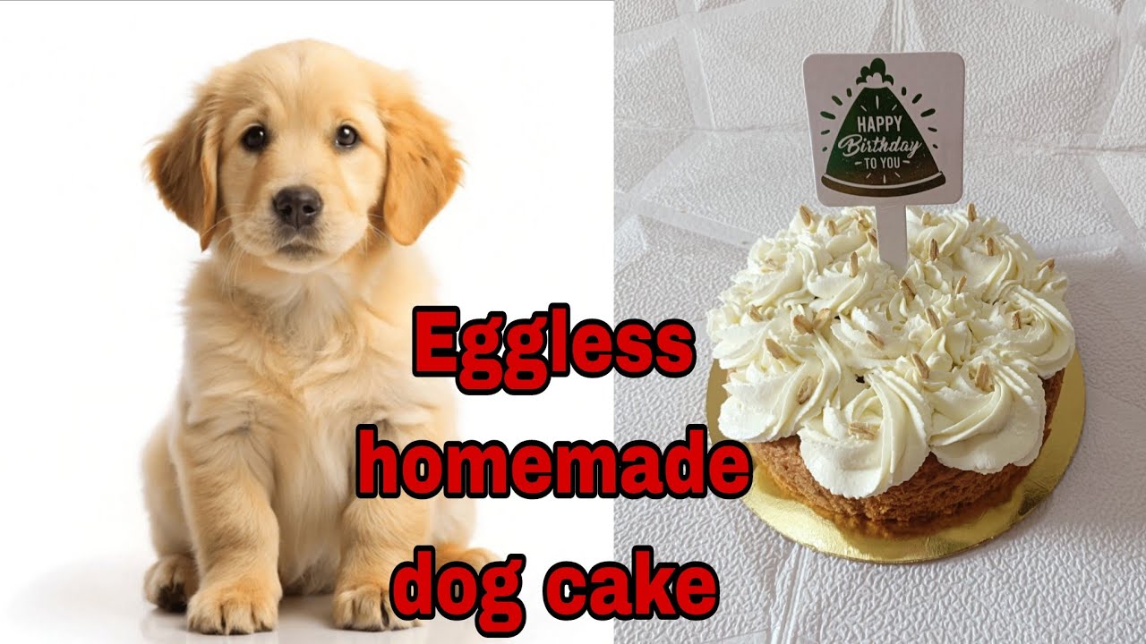 How to make eggless dog cake at home||without oil,sugar easy cake recipe🐶||pet lover cake recipe😋😋