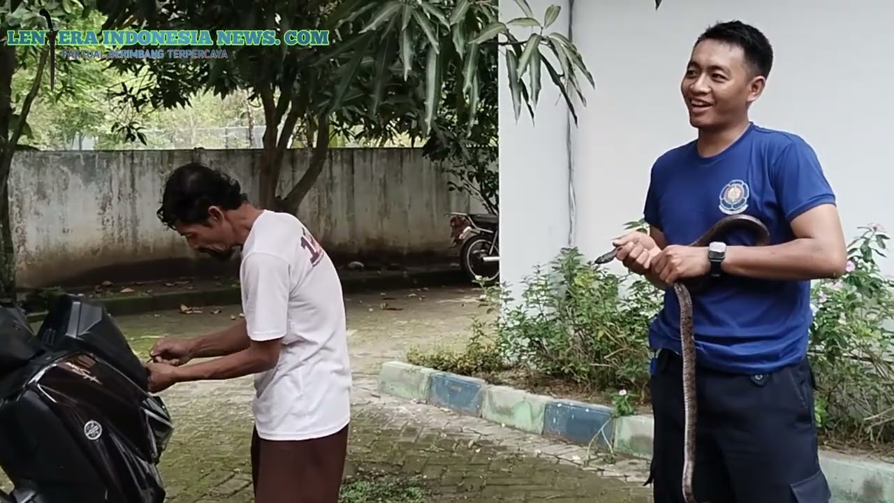 Ular masuk ke motor!!!!! 