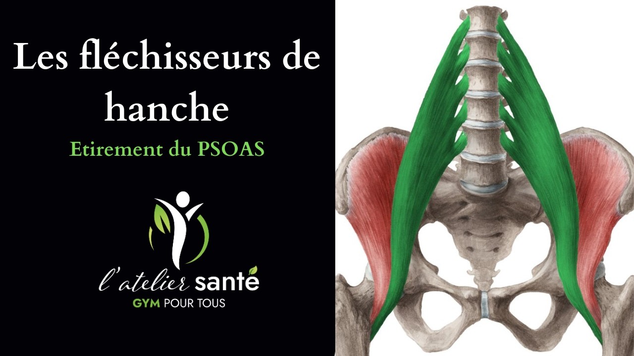 ASSOUPLIR L'AVANT du BASSIN - Exercices pour détendre les fléchisseurs de hanche et le PSOAS