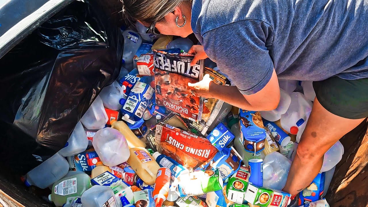 PERFECT Timing Dumpster Diving MASSIVE SCORES Of FROZEN FOOD