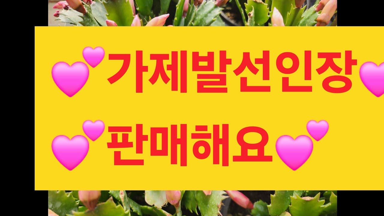 2026년 1월 28일