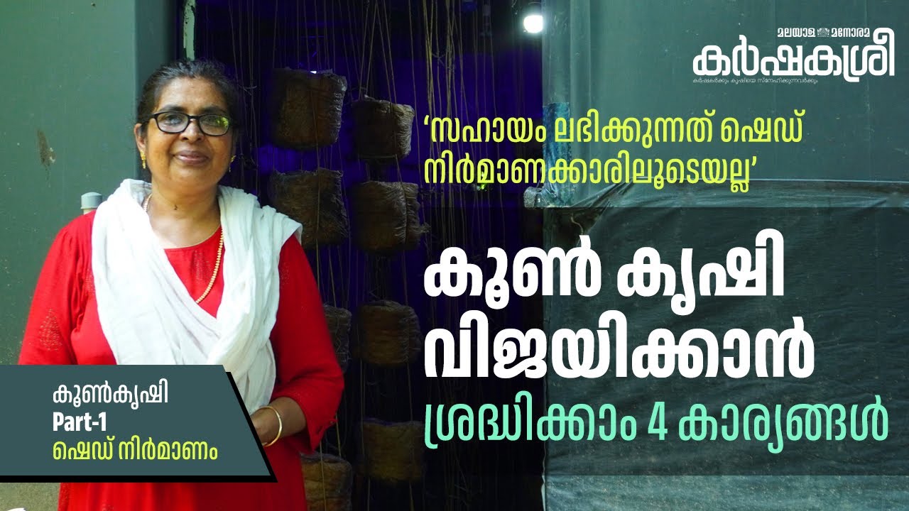 കൂൺകൃഷിക്ക് സബ്സിഡി ലഭിക്കുന്നത് ഷെഡ് നിർമാണക്കാരിലൂടെയല്ല; കൂൺകൃഷി Part-1