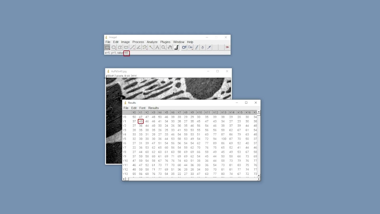 1. Начало работы с ImageJ