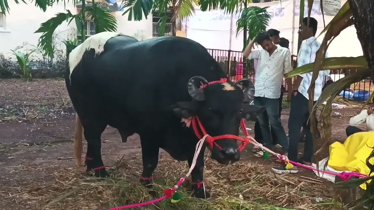 ಕೃಷಿ ಮೇಳ-2024