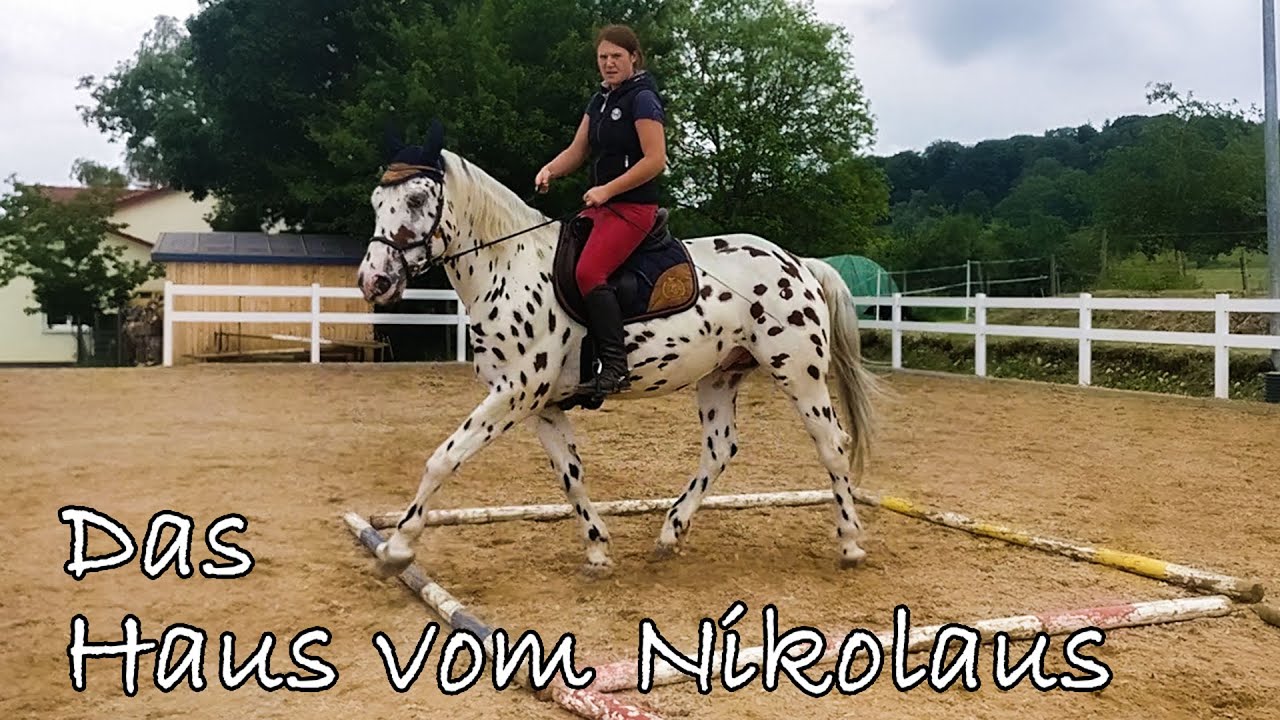 Das Haus vom Nikolaus #cavallo #reitübung