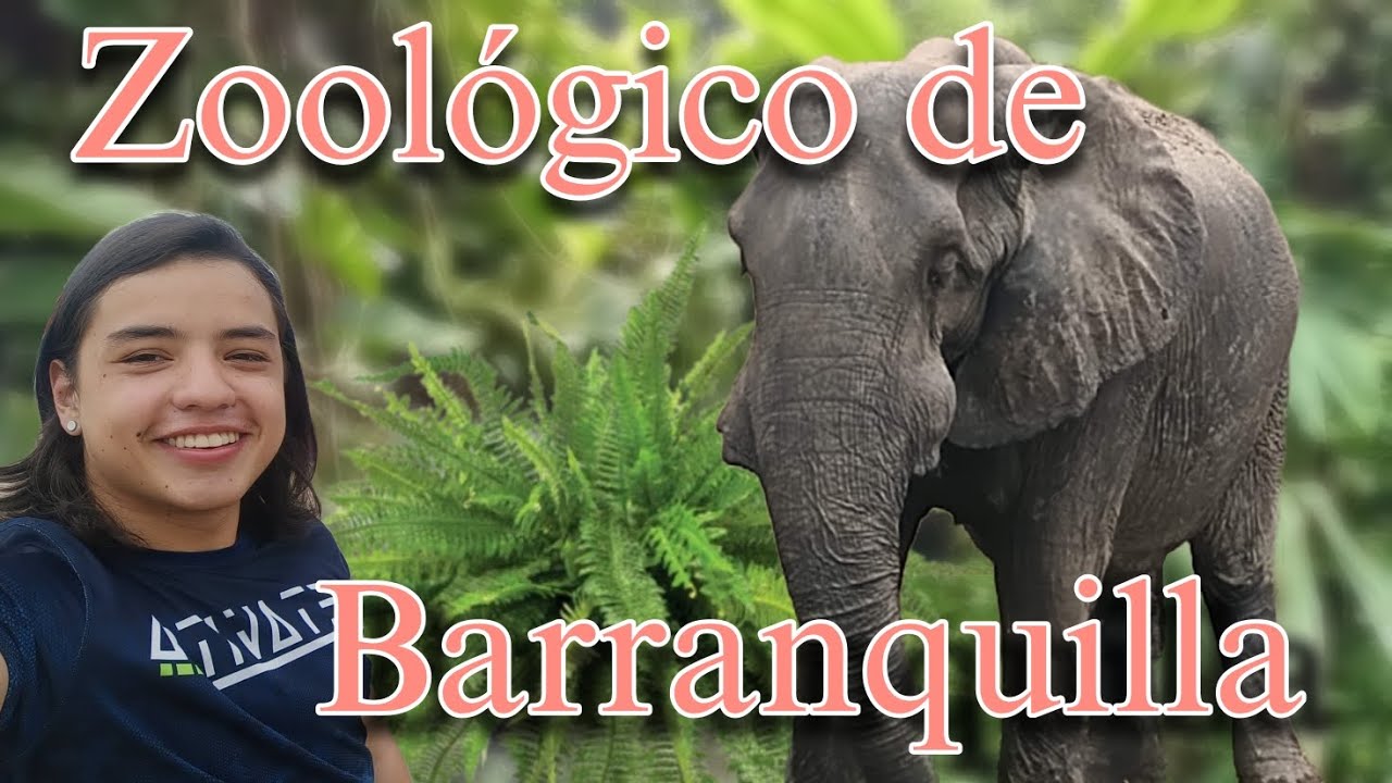 Visitando el Zool&oacute;gico  de Barranquilla @zoobaq /@PachyAmor