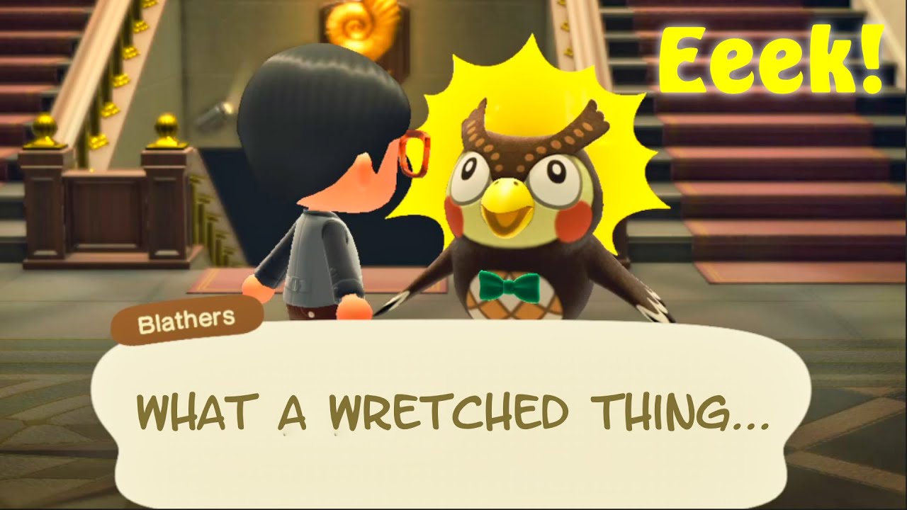 Animal Crossing: New Horizons - Blathers Reaction When We Donate Bugs to Museum Game Compilation