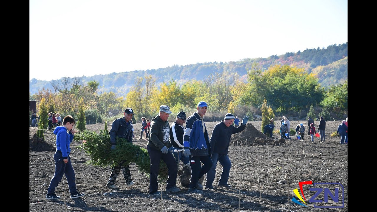 Un parc modern cu peste 500 de copaci decorativi este amenajat la Zăluceni