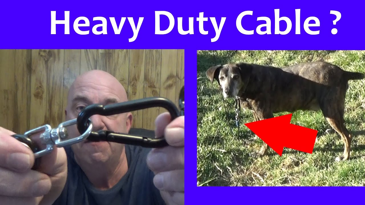 Royal Paw Heavy Duty Dog Tie Out Cable (Review/Test/Instructions) Best Budget Leash? XL Large Chain