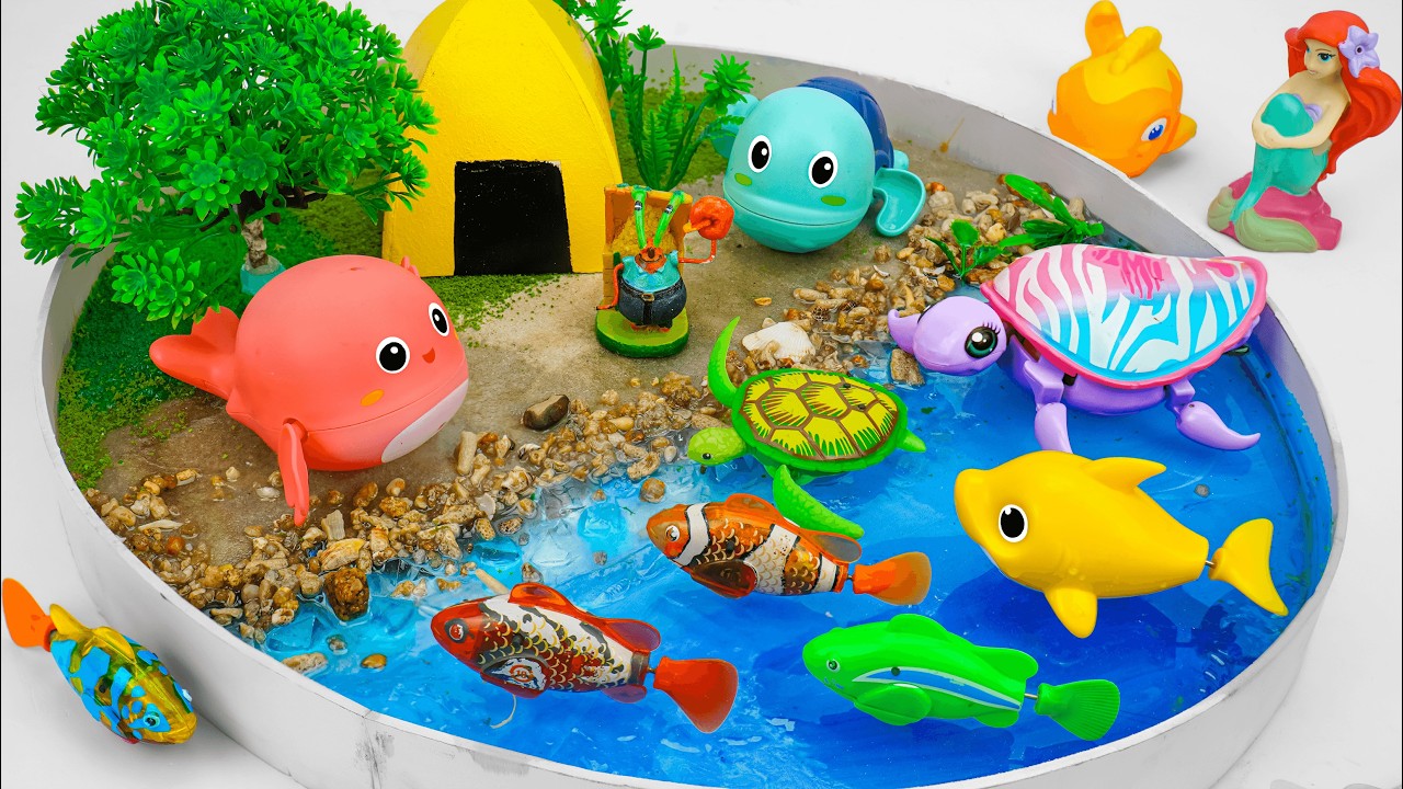 🦈toy asmr🦈 Ultimate ZURU Robo Alive Super Aquarium Set ✨ Review Toys (No Talking)