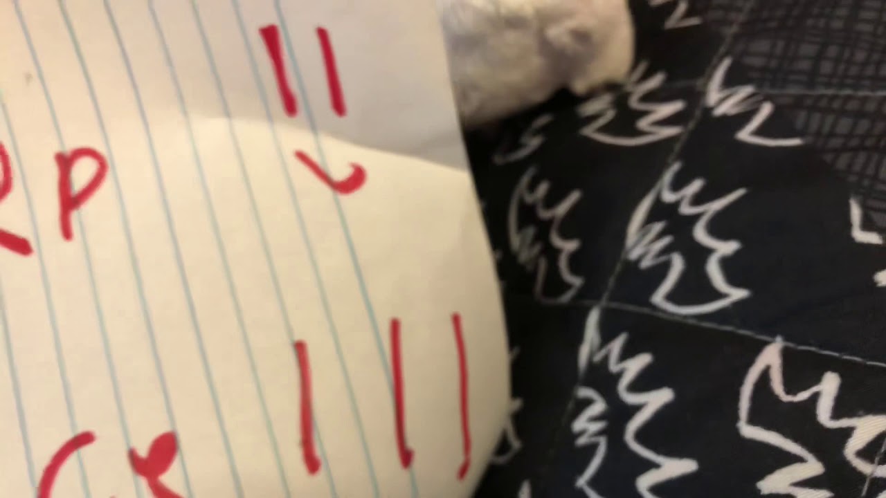 Mario hi