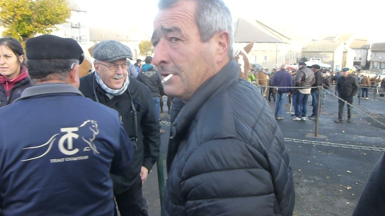FAY-SUR-LIGNON FOIRE AUX CHEVAUX 2021