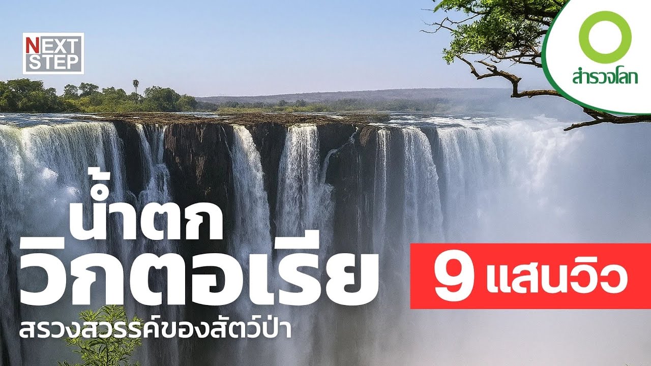 สรวงสวรรค์ของสัตว์ป่า - น้ำตกวิกตอเรีย | สารคดี สำรวจโลก