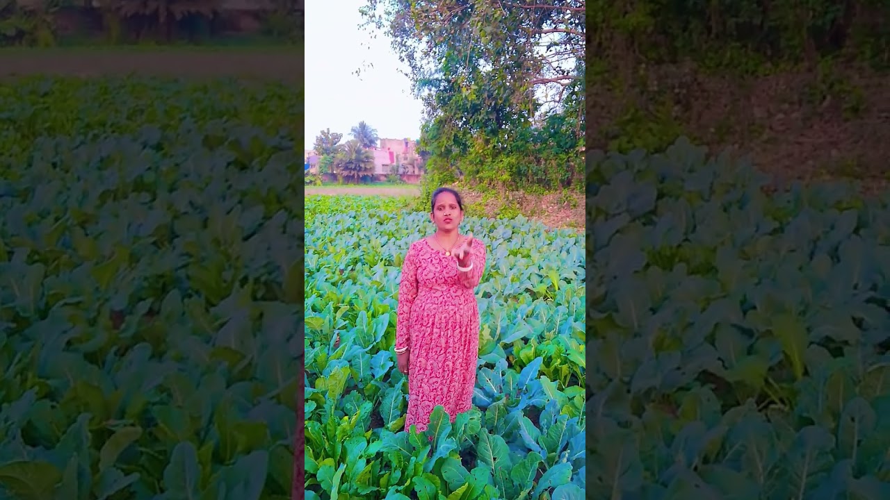 Humhu lehum chuma dono gaal per..tredingshorts #viralvideo #bhojpurisongशिल्पी