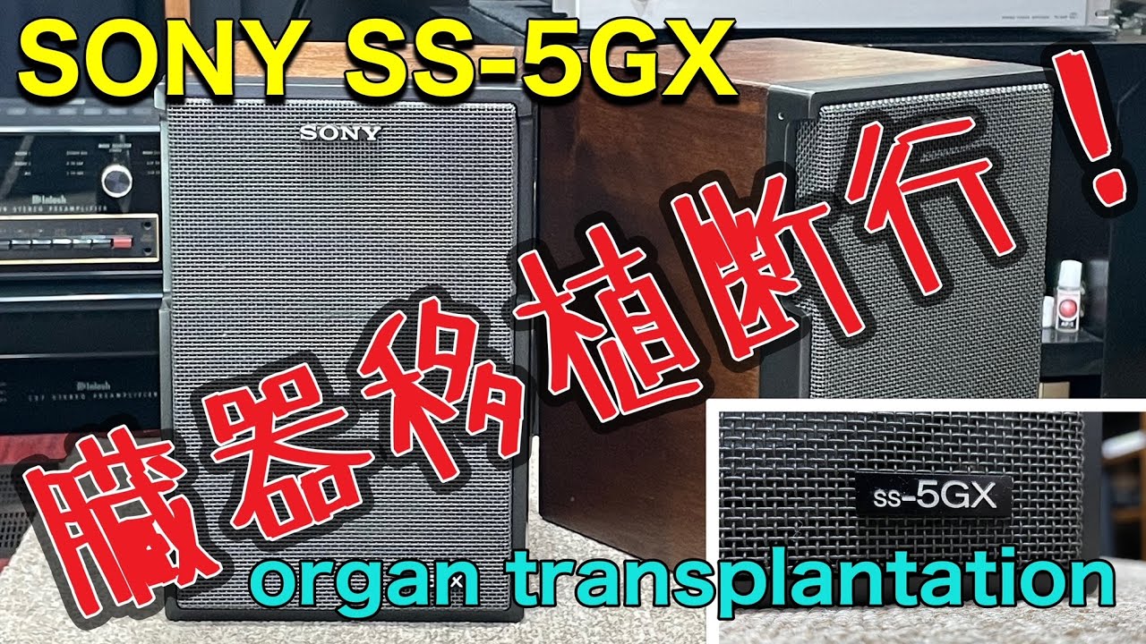 この子を危うく見捨てるところでした！SONY SS-5GX　　I almost abandoned this child !