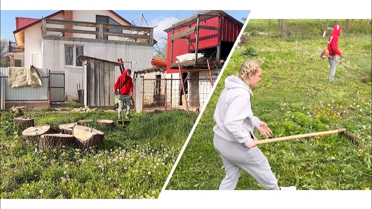 CURĂȚĂM CURTEA TATEI 🌱