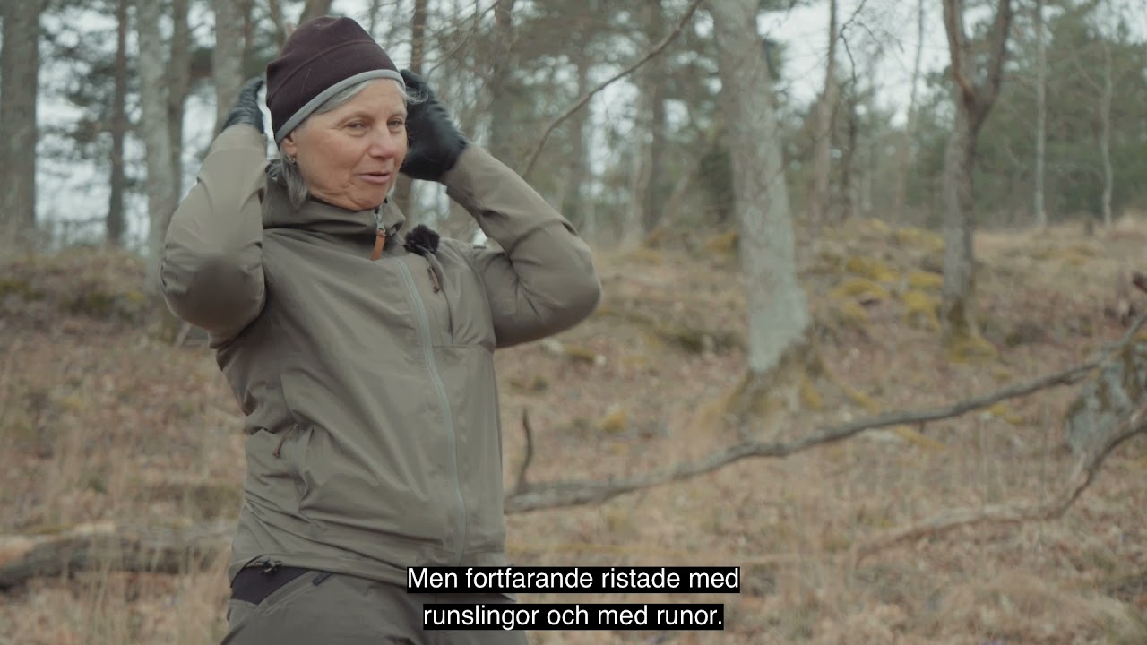 Bogesundsstenen