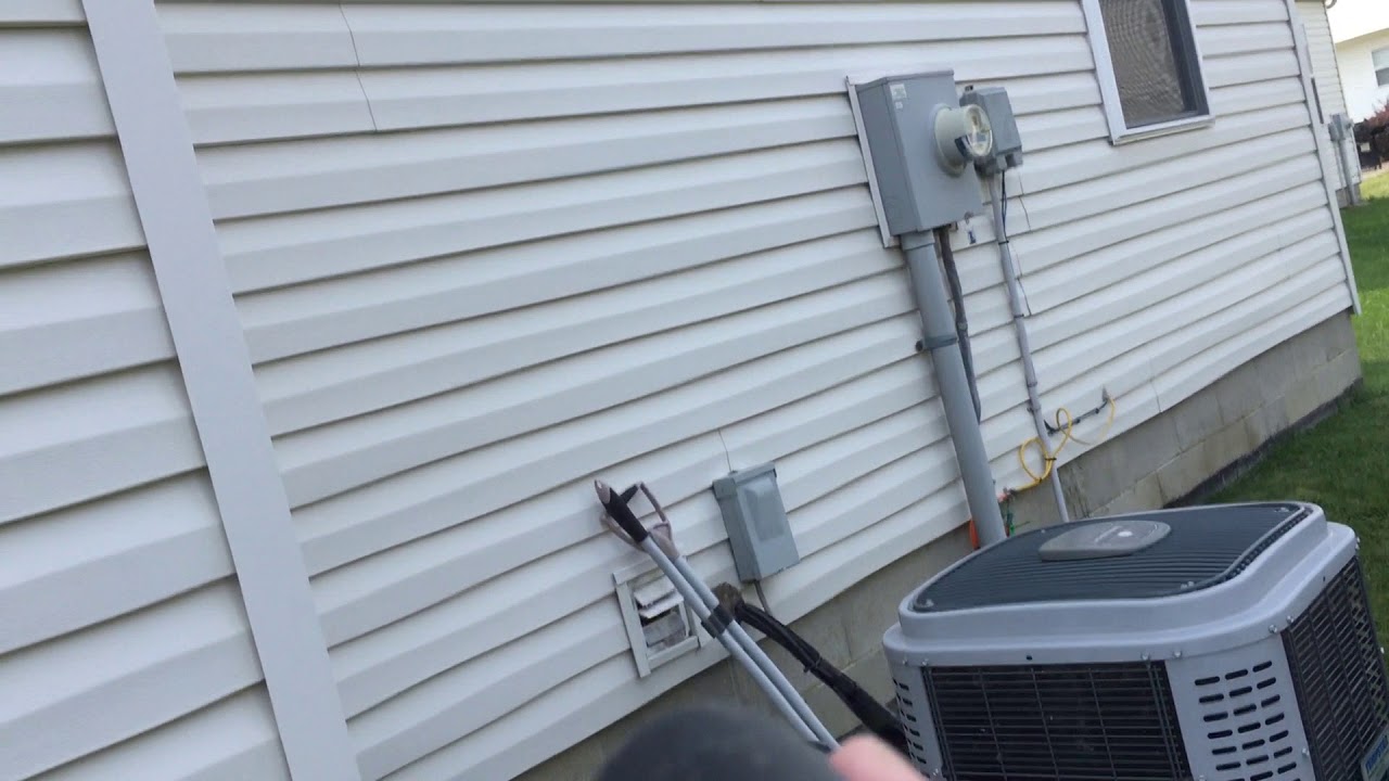Capturing and killing yellowjackets [First person shop-vac cam]