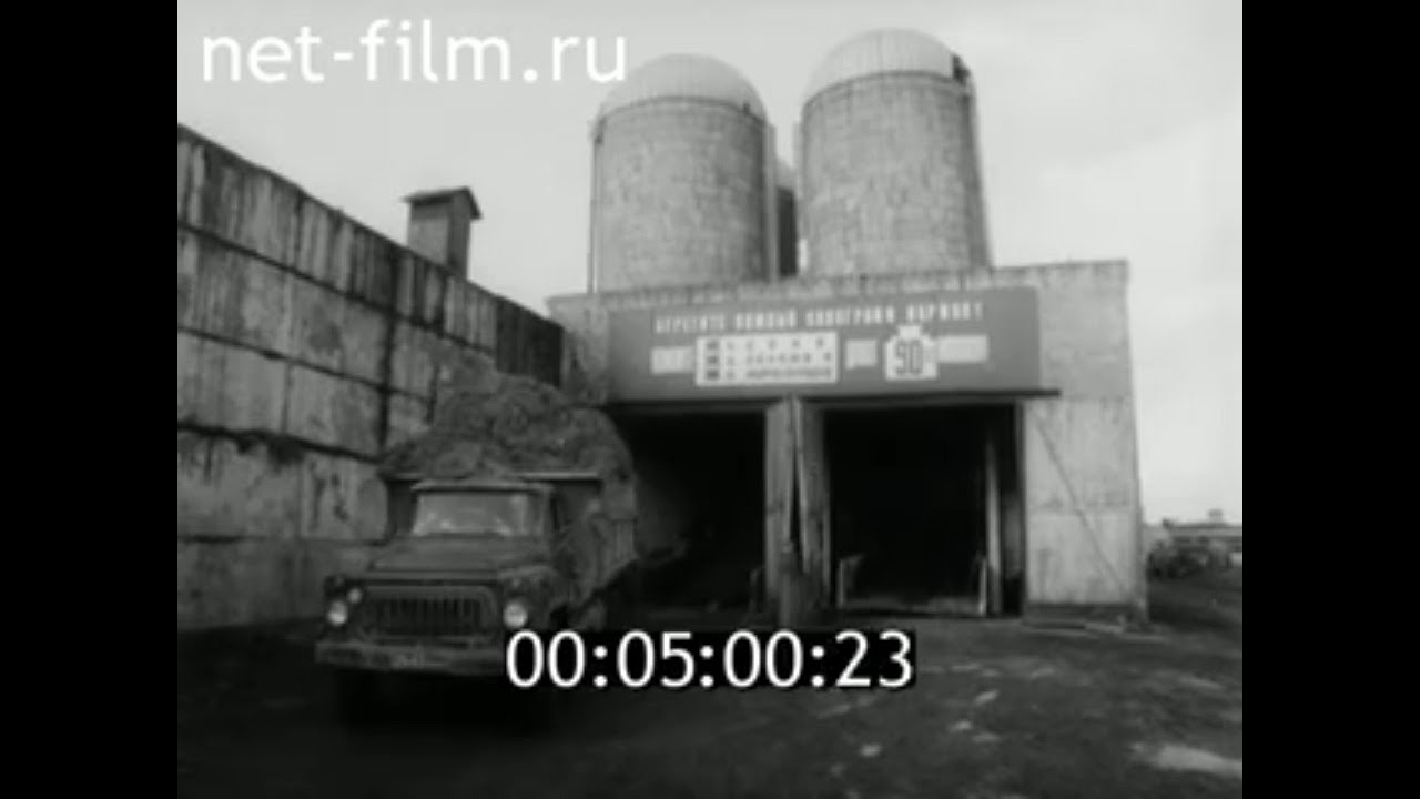 1985г. совхоз Детскосельский Ленинградская обл.