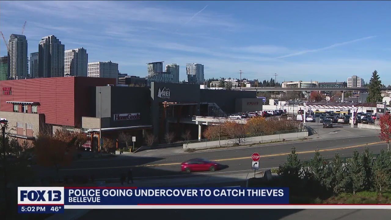 Bellevue Police go undercover to catch thieves | FOX 13 Seattle