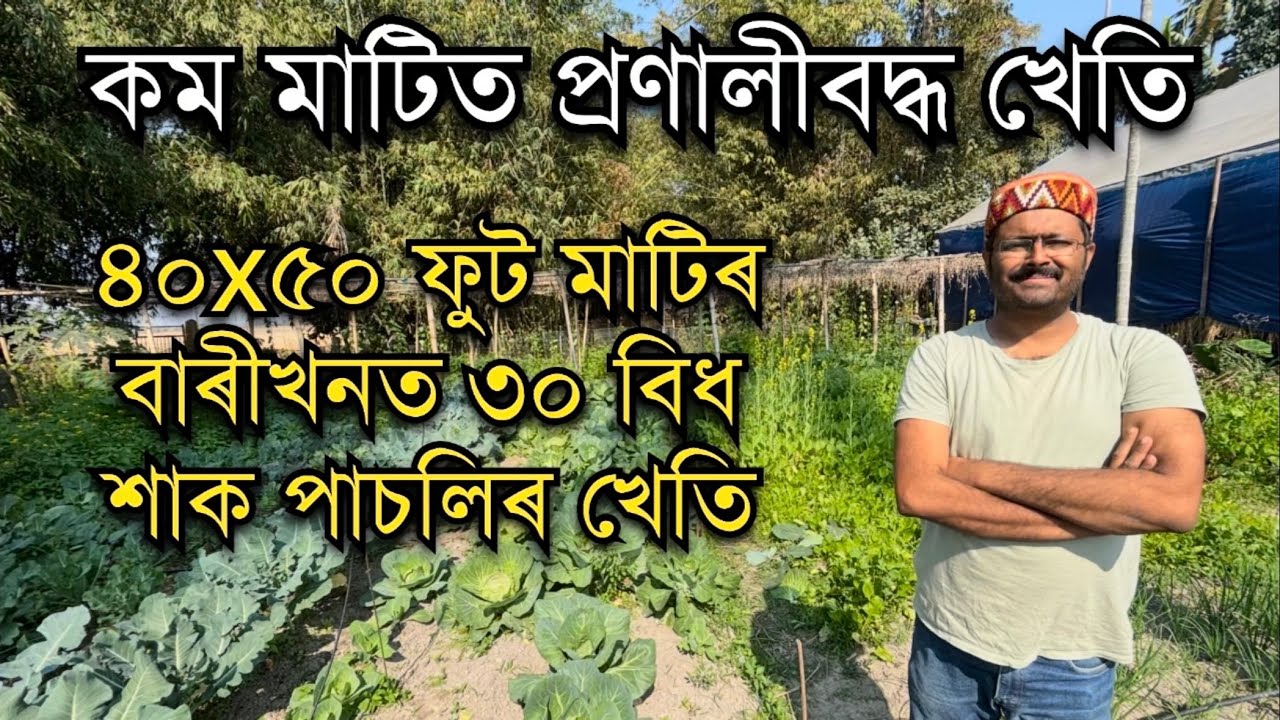 ৪০x৫০ ফুট বাৰীখনত ৩০ বিধ শাক পাচলিৰ খেতি।Neelam dutta।Pranjal Gogoi।Farming in Assam।Farming Ideas