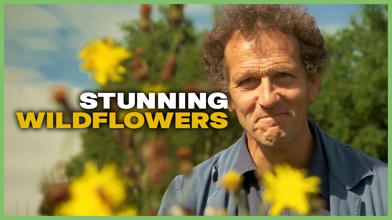 Monty Don's Mission to Revive Wildflower Gardening | Great British Garden Revival